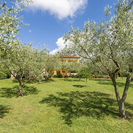 Olea Garden *