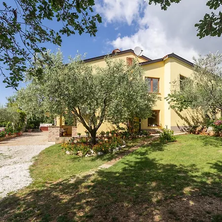 Olea Garden